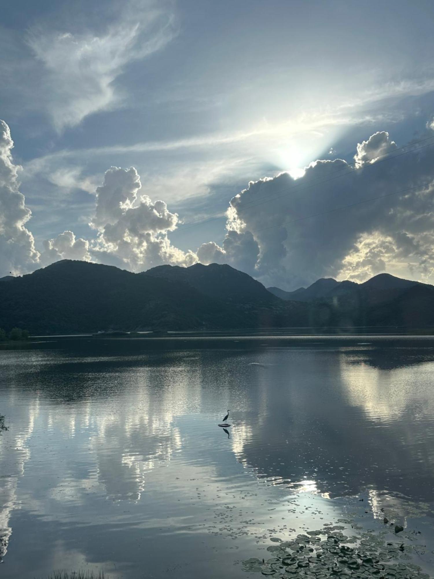 Lakeside Harmony Apartment Golubovci